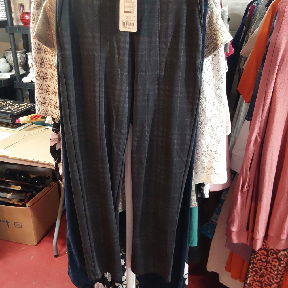 Hue Leggings